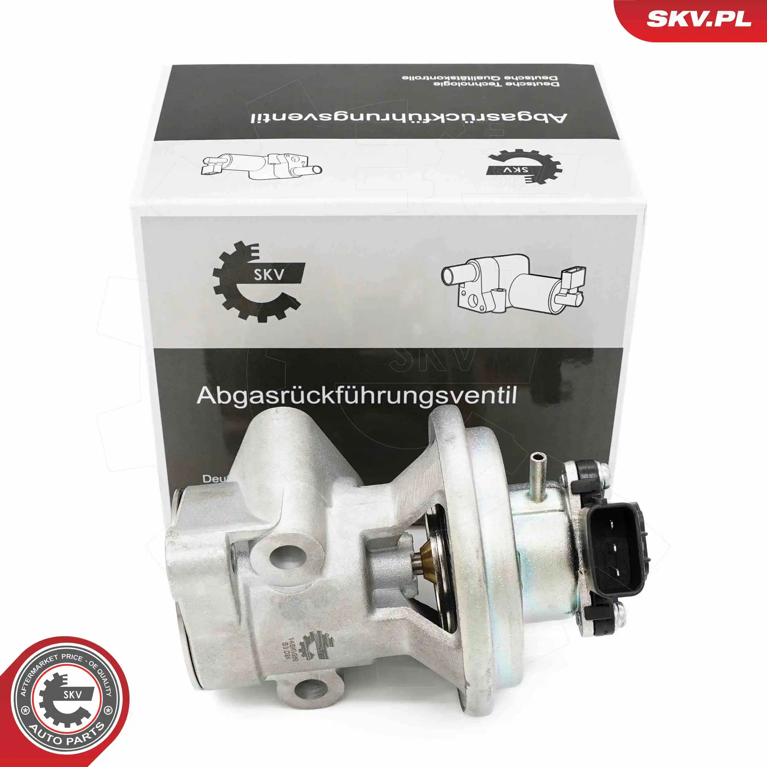 EGR Valve